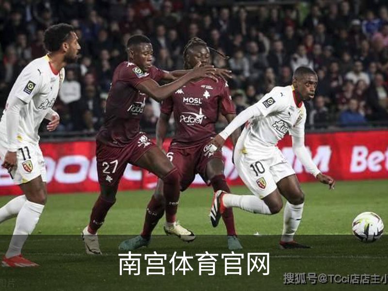 南宫体育官网概况